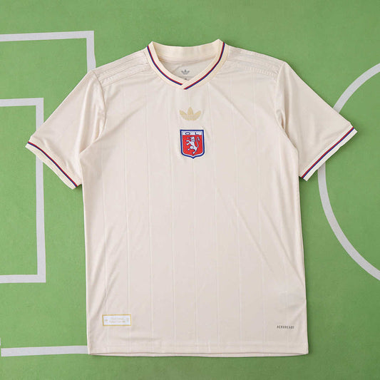 25/26 Olympique Lyonnais 75th anniversary Fan · Referencia del proveedor: 195725481