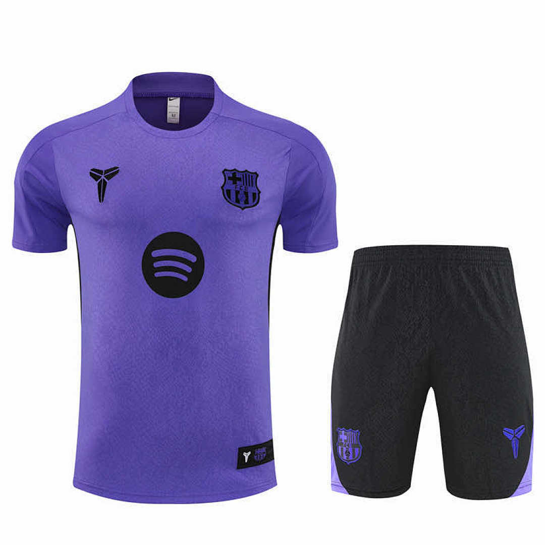 25/26 FC Barcelona / Barça Conjunto de entrenamiento de manga corta Fan · Referencia del proveedor: 212988447