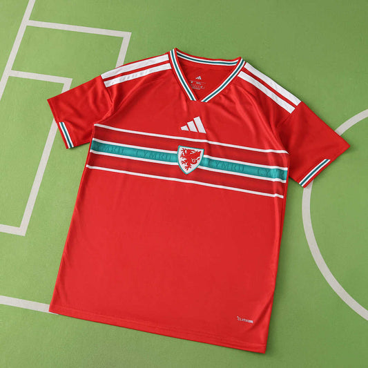 20/26 Wales Local Fan · Referencia del proveedor: 217601554