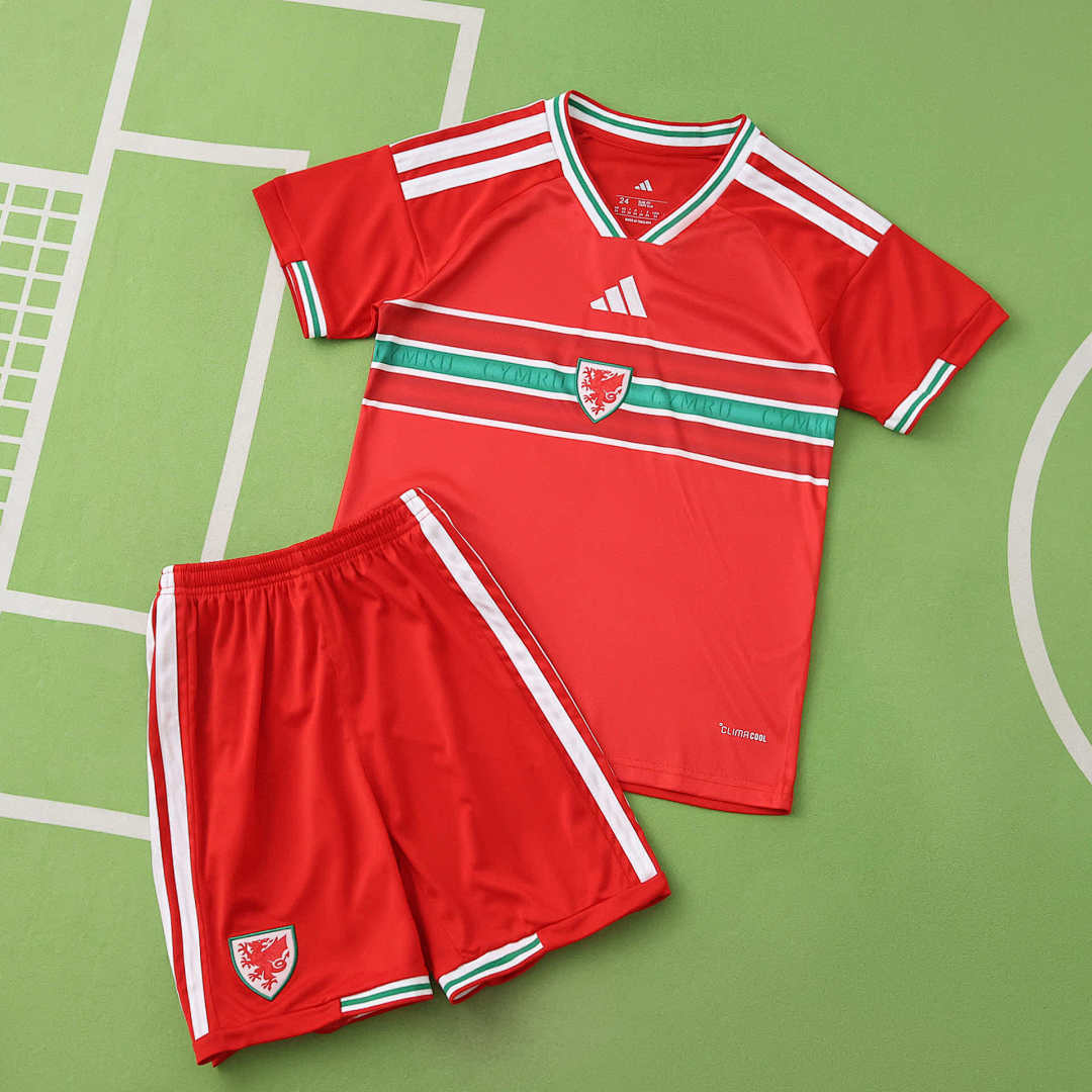 20/26 Wales Local Conjunto infantil · Referencia del proveedor: 218360173