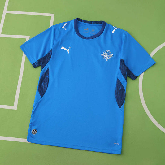 20/26 Iceland Local Fan · Referencia del proveedor: 220065915