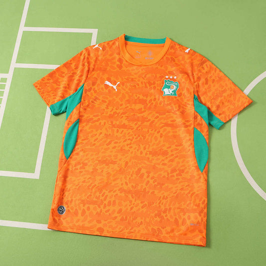 20/26 FIFA World Cup Côte d'Ivoire Local Fan · Referencia del proveedor: 222923898