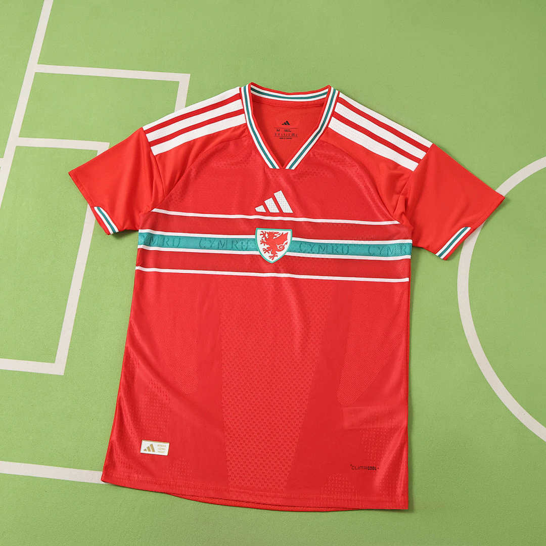 20/26 Wales Local Player · Referencia del proveedor: 222923928
