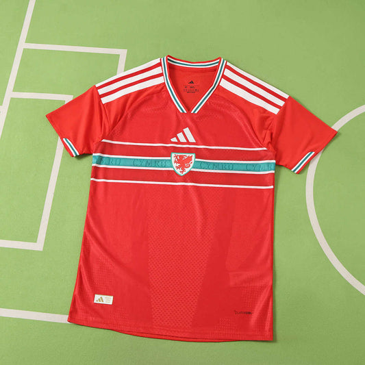 20/26 Wales Local Player