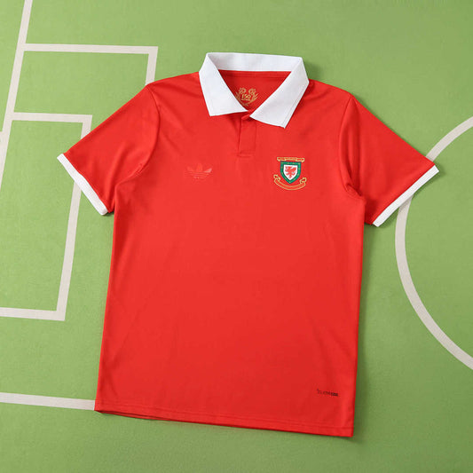 150th anniversary Wales Fan · Referencia del proveedor: 227844316