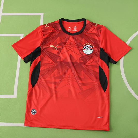 20/26 FIFA World Cup Egypt Local Fan · Referencia del proveedor: 236045310