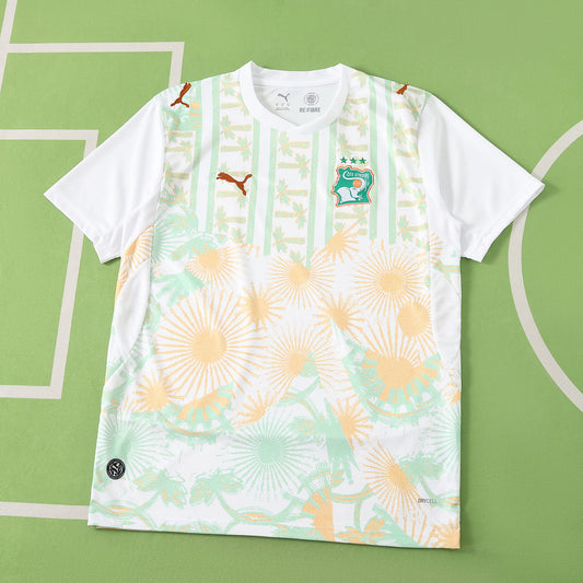 20/26 FIFA World Cup Côte d'Ivoire Visitante Fan · Referencia del proveedor: 236046828